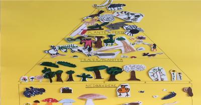 Biodiversitetspyramide